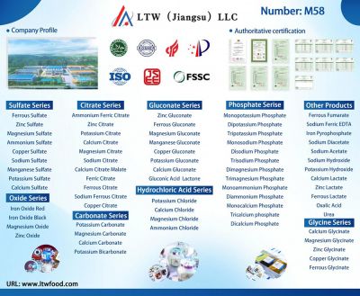 FIAISA Time: 17-19 September 2025 City: Bangkok, ThailandBooth Number: M58